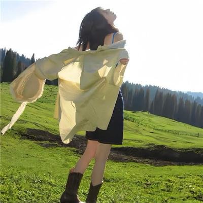 路柳墙花
